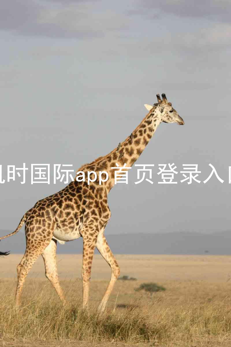 凯时国际app首页登录入口